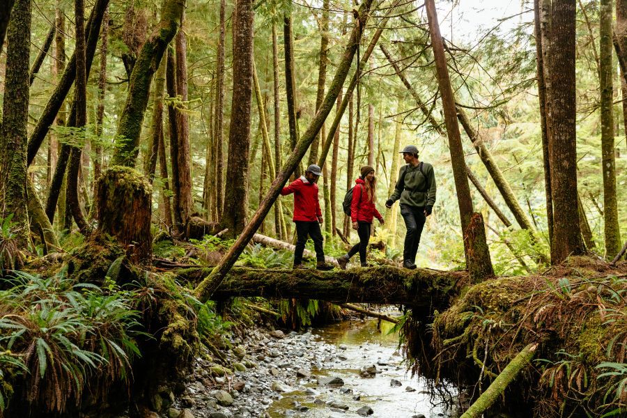 Three people walking on a log Nimmo Bay Resort