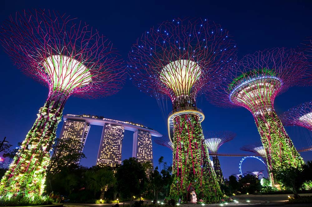 Gardens by the Bay at night