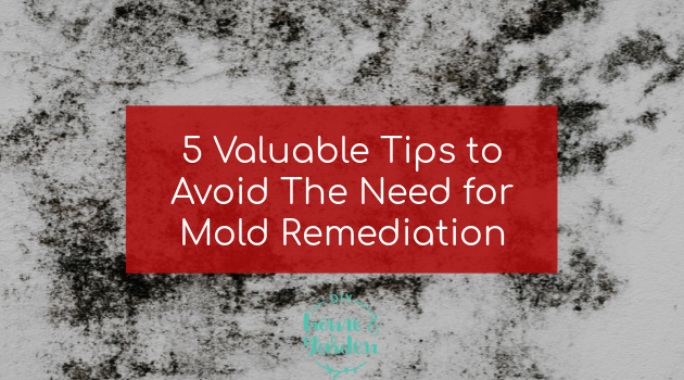 mold remediation