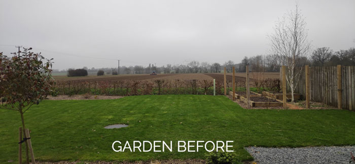 SGD student garden – Ruth from Suffolk