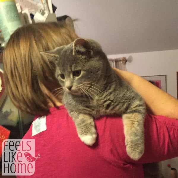 A person holding a kitten