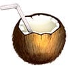 coconut