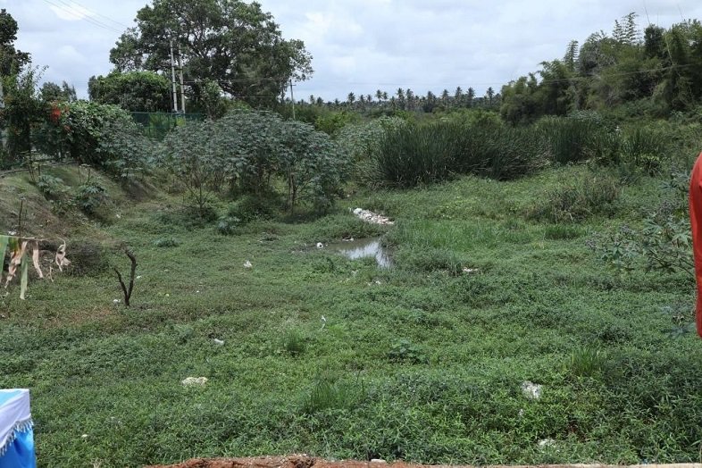 Bommanahalli Lake