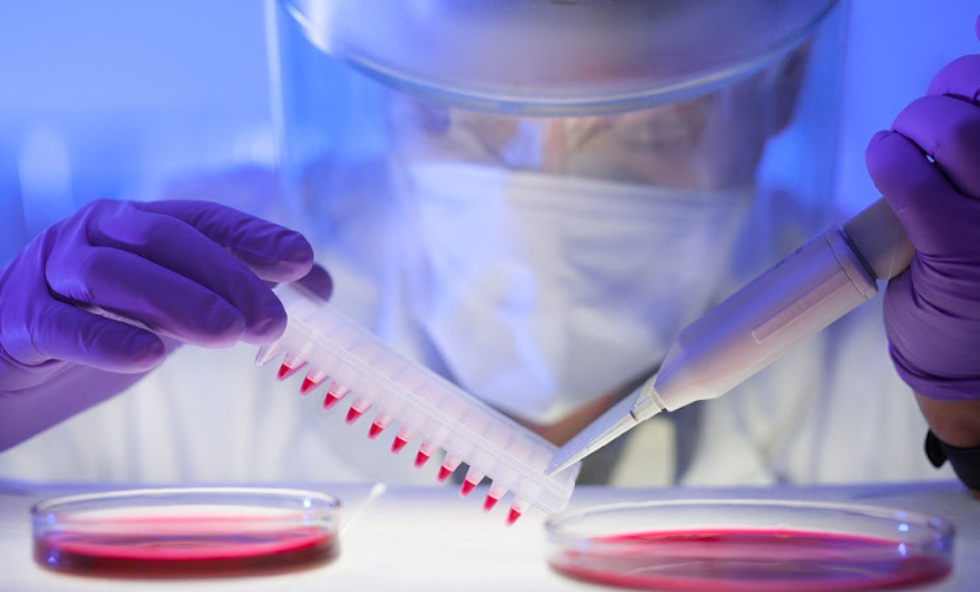The-Promise-of-Synthetic-Embryos-ThehealthcareDaily