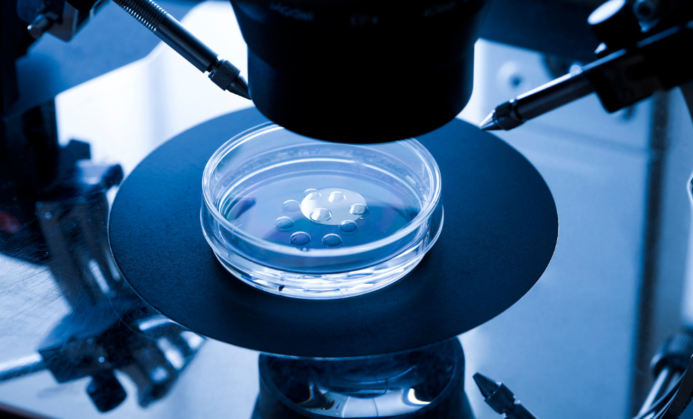 The-Promise-of-Synthetic-Embryos-Thehealthcaredaily
