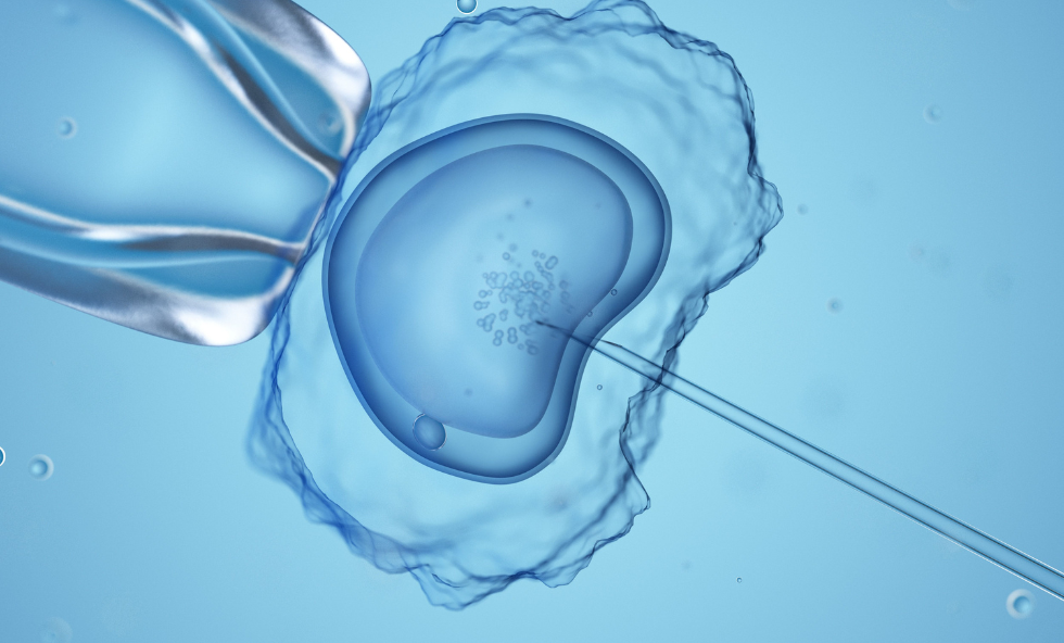 Synthetic-Embryo-thehealthcaredaily