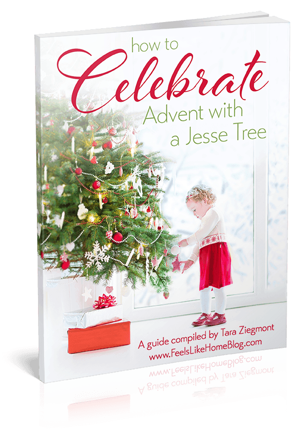 The cover of a book about using a Jesse Tree during Advent