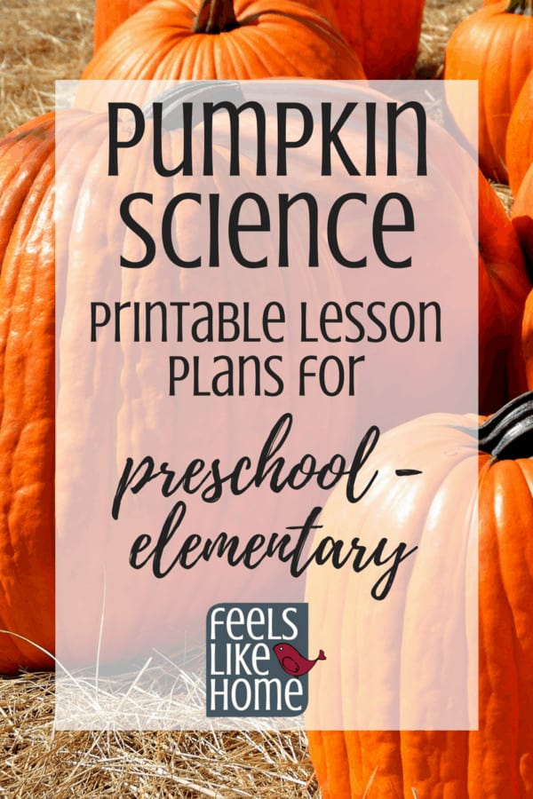 Pumpkin Science & Math – A Printable Lesson Plan for the Preschool, Kindergarten, or Elementary Classroom or Homeschool
