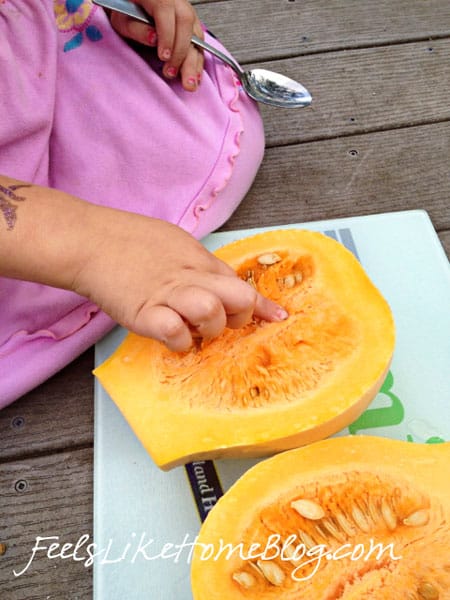 A little girl touching a cut pumpkin