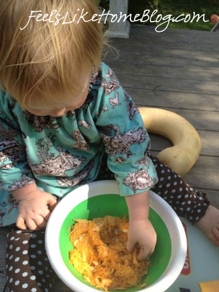 A little girl playing with pumpkin guts