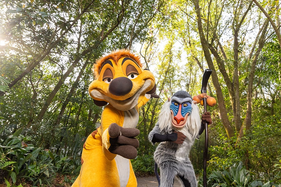 Lion King 30th Anniversary Celebration Coming to Animal Kingdom in Summer 2024